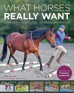 Horsemanship Equitation: What Horses Really Want