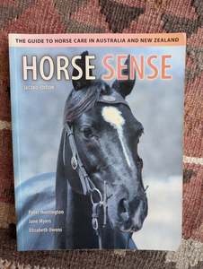 Horsemanship Equitation: Horse Sense