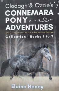 Fiction: Clodagh & Ozzie's Connemara pony adventures