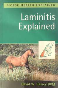Laminitis Explained
