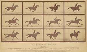 Out Of Stock: The Horse in Motion