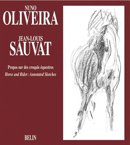 Horse and Rider: Annotated Sketches