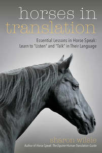 Horsemanship Equitation: Horses in Translation