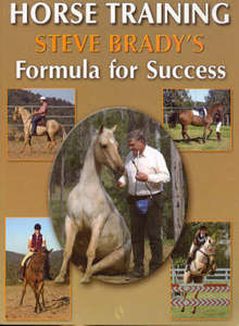 Horsemanship Equitation: Horse Training