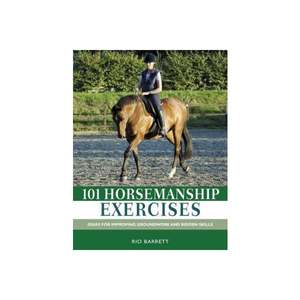 Horsemanship Equitation: Horsemanship Exercises