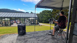 Events: Te Whai Bay Wines - Music in the Vines (transportation)