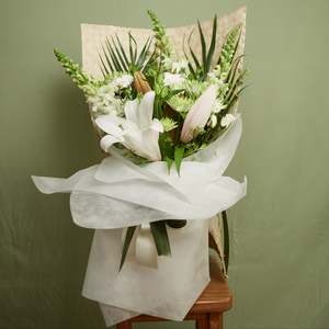 Pacifika: Pasifika Vox