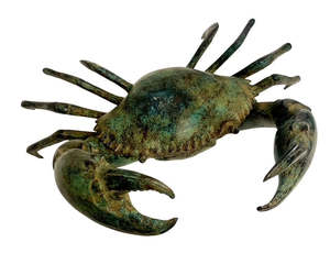Frontpage: Giant Bronze Crab