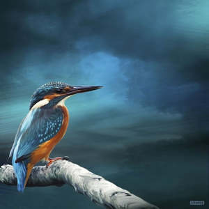 Art: Kingy on Watch
