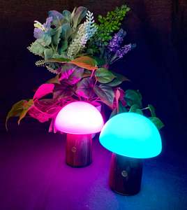 Mushroom Lamp