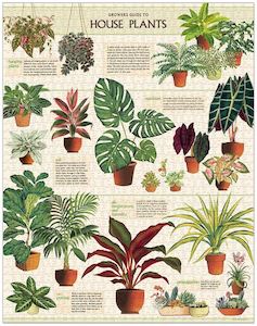 Cavallini House Plants 1000 pce Puzzle