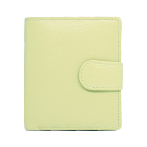 Bags: Summer Lime Mini Wallet