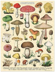 Games: Cavallini Mushrooms 1000 pce puzzle