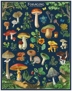 Cavallini Foraging 1000 pce puzzle