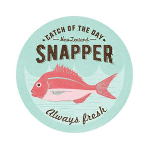Coasters: NZ Snapper Coasters