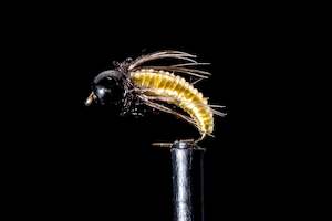 Nymphs 1: Clearwater Caddis - Cream Fishing Fly | Manic Fly Collection