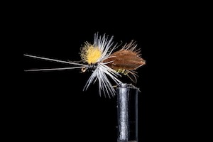 Dries: Lacemoth Fishing Fly | Manic Fly Collection