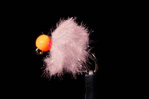 Jig Fritz Egg Prawn Fishing Fly | Manic Fly Collection