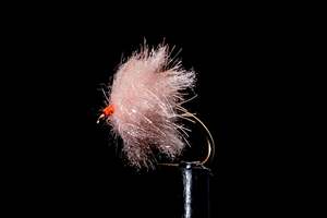 Fritz Egg Prawn Fishing Fly | Manic Fly Collection