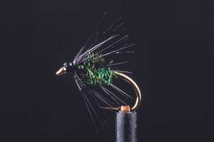Manic Fly Collection: Wee Wet Black & Peacock Fishing Fly | Manic Fly Collection