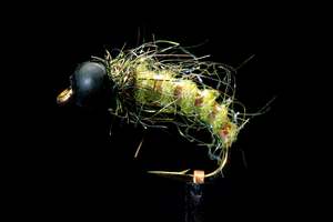 Flash Caddis - Green Slotted Tungsten Fishing Fly | Manic Fly Collection