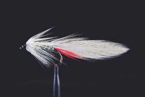 Manic Fly Collection: Classic Grey Ghost Fishing Fly | Manic Fly Collection