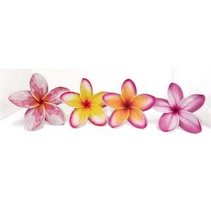 Products: Frangipani (New Designs)