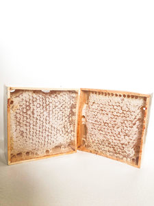 Products: New Zealand wild honey comb 340g