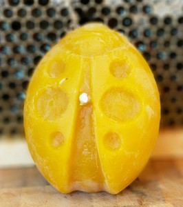 Products: Lady bug beeswax candle