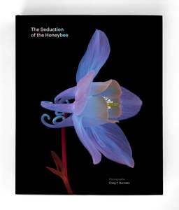 Nz: Manuka Health Seduction of the Honeybee Book