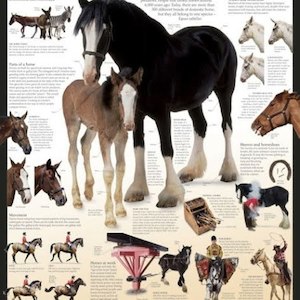 Solar System (B) – MapCo NZ – Maori, Pacific Island and New Zealand Maps