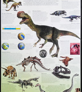 Products: Educational Basics – MapCo NZ – Maori, Pacific Island and New Zealand Maps