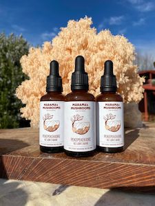 Amazing Deal: 3 NZ Lion's Mane tinctures for $100!