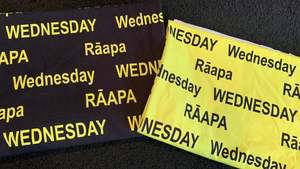 Wednesday - Cotton Lycra