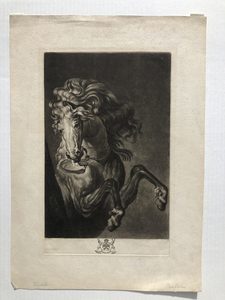 Richard Earlomafter Anthony van DyckA Horse's Head1777 – Mariette Prints
