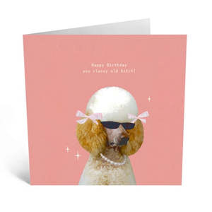 Greeting Cards: Little Global Cards  - Happy Birthday you Classy Old Bitch
