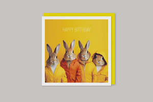 Image Gallery Coola Coola Card -Rabbits Happy Birthday