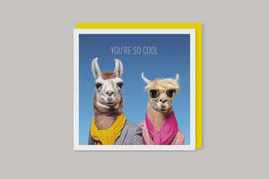 Image Gallery Coola Coola Card - Llamas You're so Cool