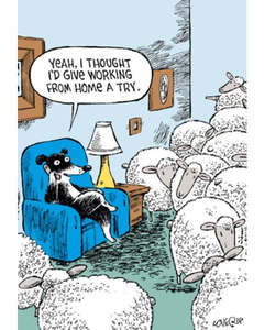 Image Gallery Card - Working From Home