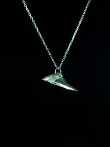 Mako Shark Tooth Pendant
