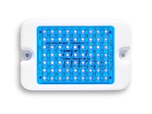 Marine Night Lights Mini Pair
