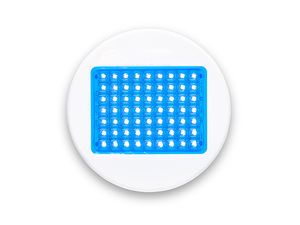 Pool Lights