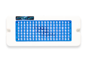 Marine Night Lights Oblong