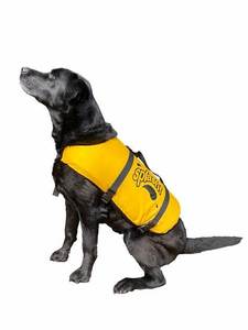 Life Jackets: Splash pet vest