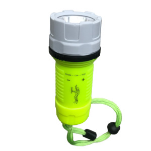 Perfect Image Waterproof Floating Torch Mini 140 LUMENS