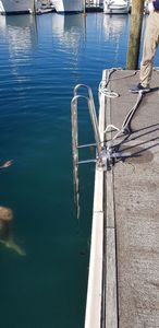 Products: Marina Safety Ladder GH_SL_3S