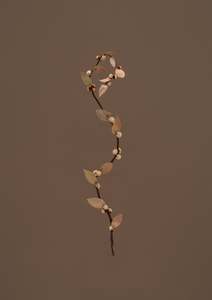 Suspended dried hybrid 5 Print by Claire Mossong x Mark Antonia Ltd