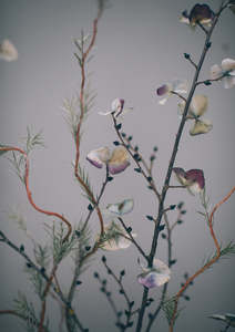 'Dried Beauty' Dried Detail print by Together Journal x Mark Antonia Ltd