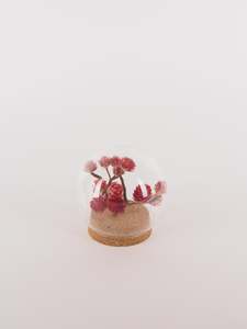 Dried Floral Mini Globe.