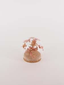 Dried Floral Mini Globe.